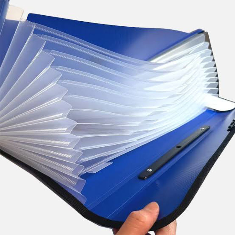 Picture of 361006 COLOROSA EXPANDING FILE ORGANISER A4 12 SECTIONS